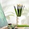 ARTIFY Oil Paint Brushes Set, Acrylic Paint Brushes with Long and Heavy Handle, 15 Pcs Professional Natural Chungking Bristle Paintbrush Set, for Oil and Acrylic Gouache Painting, Green
